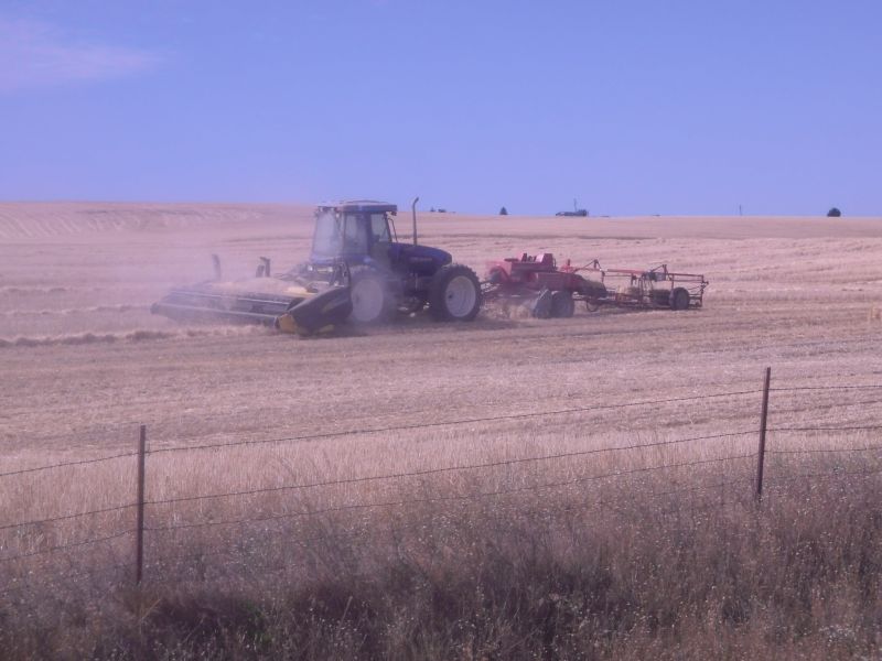 Cutting, windrowing, baling and accumulating wheat stubble for straw in one pass